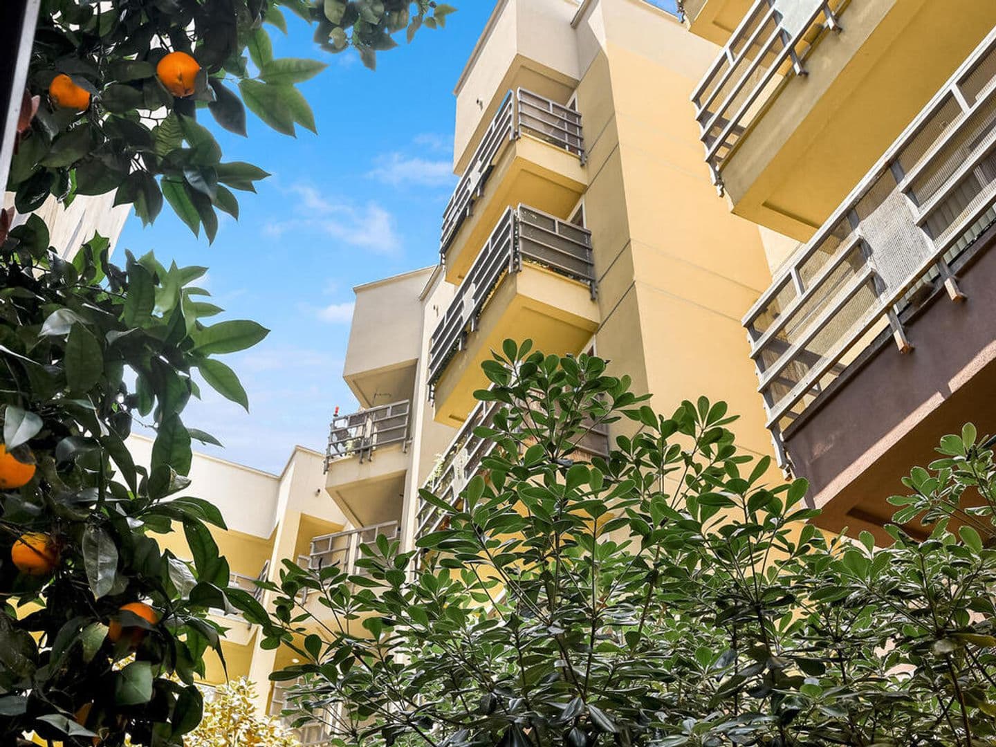 San Diego Condo: 1225 Island Ave #110
