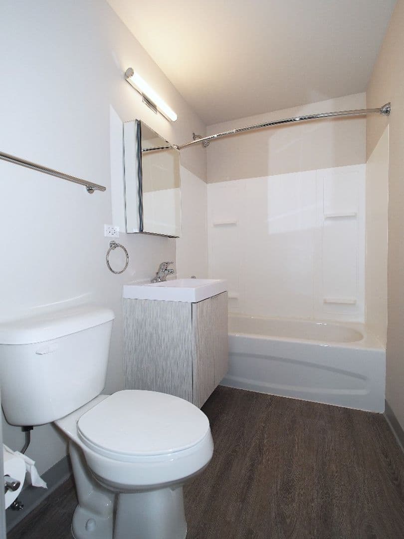 Chicago Apartment: 61 E. 21st Street