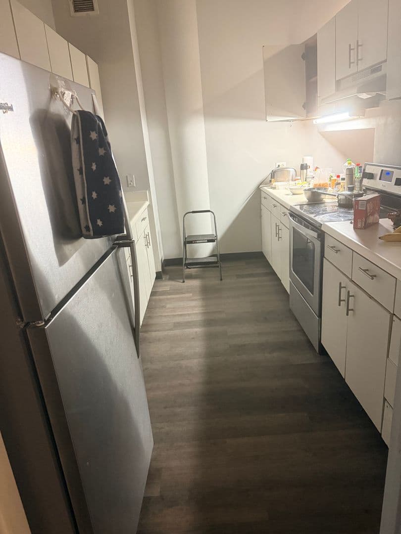 Chicago Apartment: 731 S. Plymouth Ct.