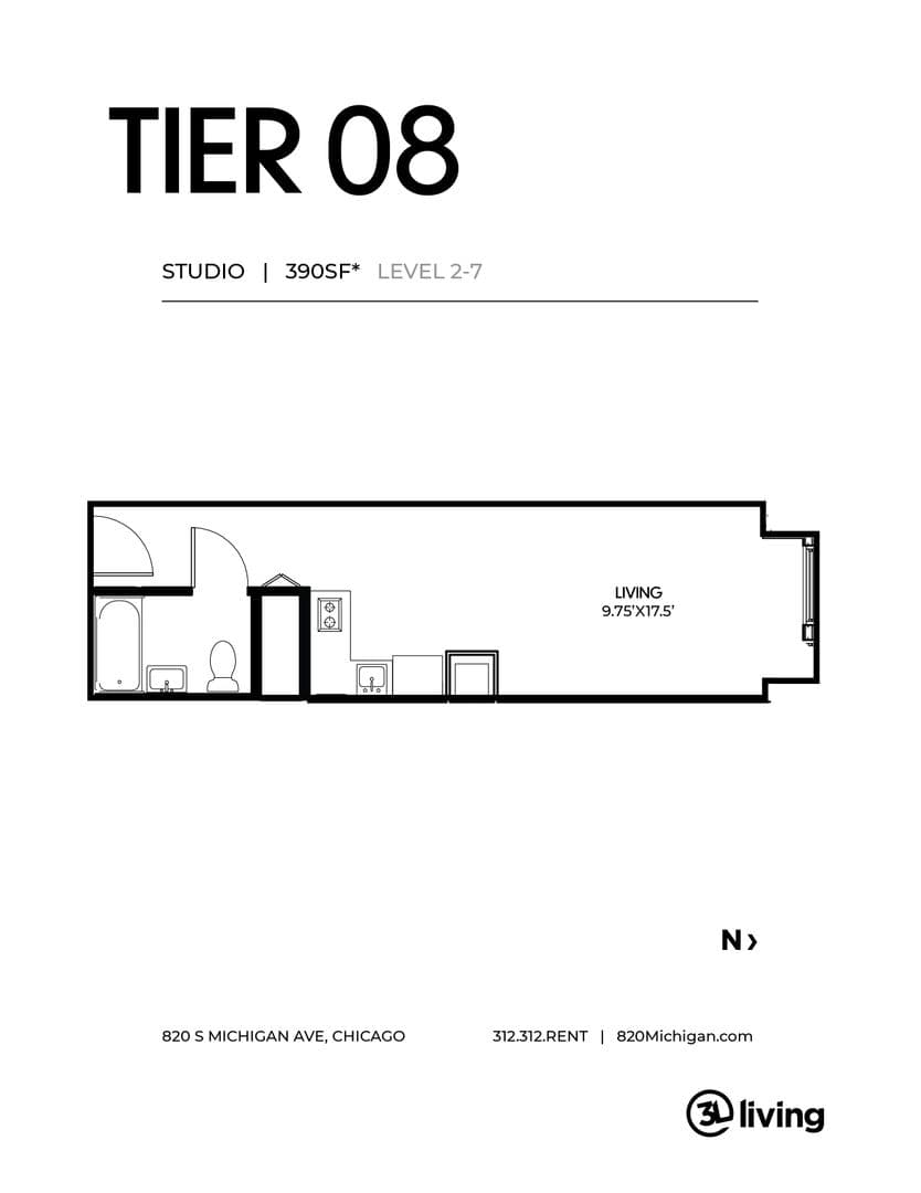 Chicago Apartment: 820 S. Michigan Ave.