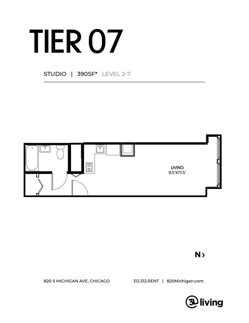 Chicago Apartment: 820 S. Michigan Ave.