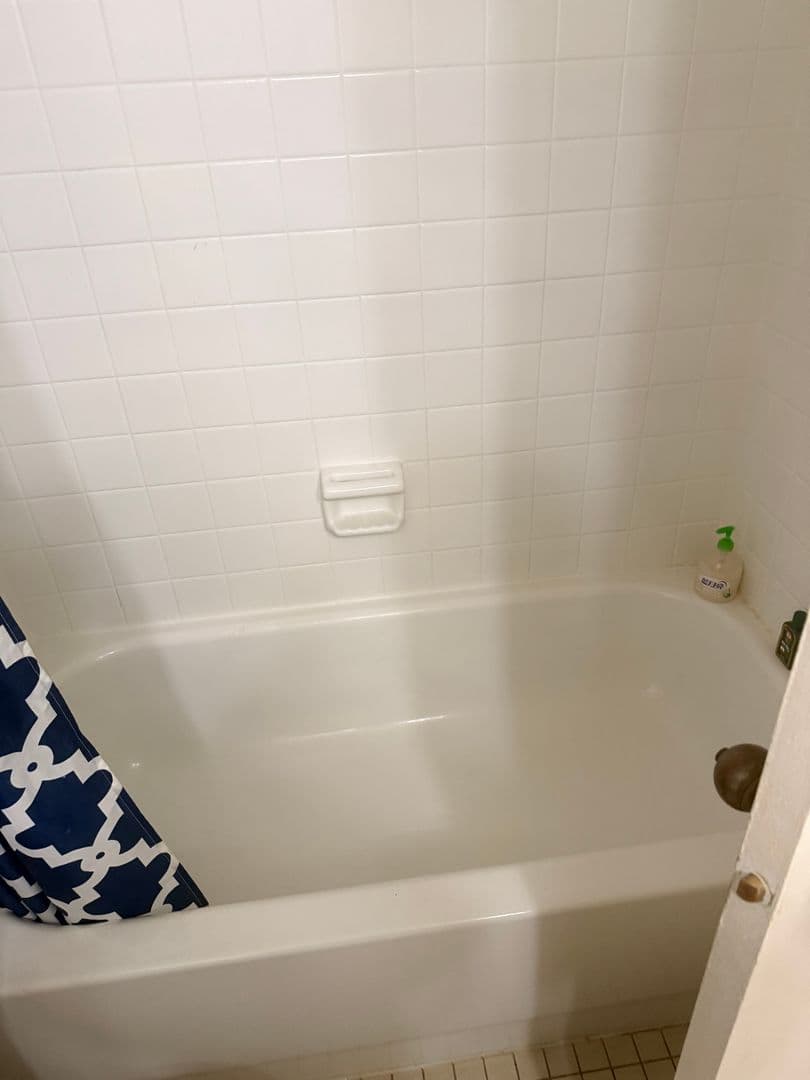 Chicago Apartment: 731 S. Plymouth Ct.