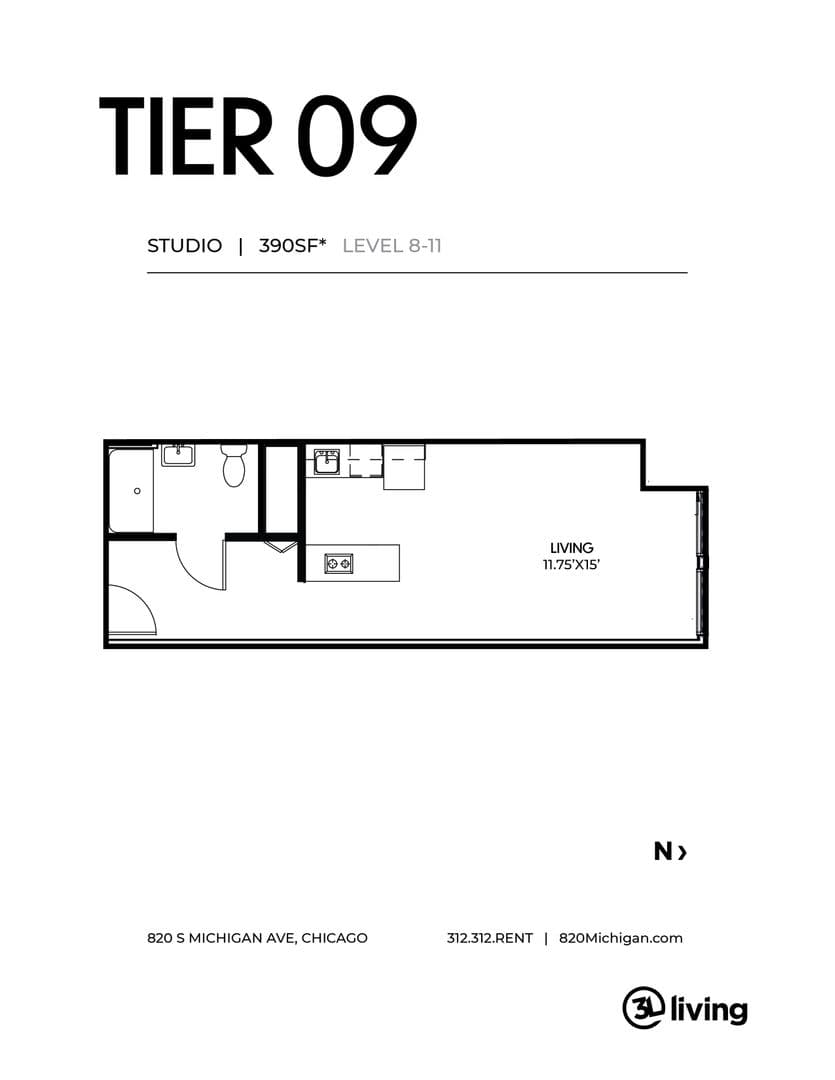 Chicago Apartment: 820 S. Michigan Ave.