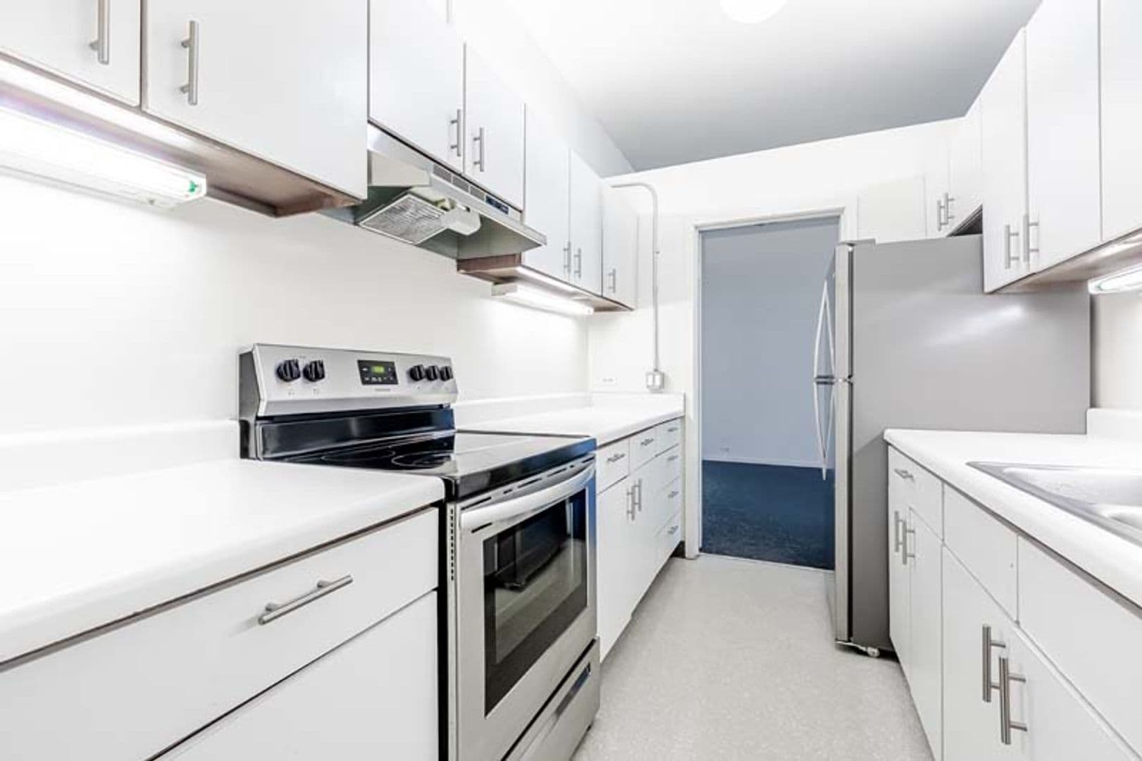 Chicago Apartment: 731 S. Plymouth Ct.