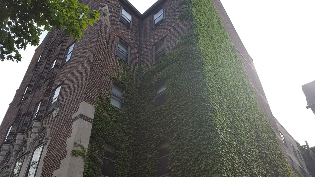 Chicago Apartment: 5748 S. Blackstone Ave.