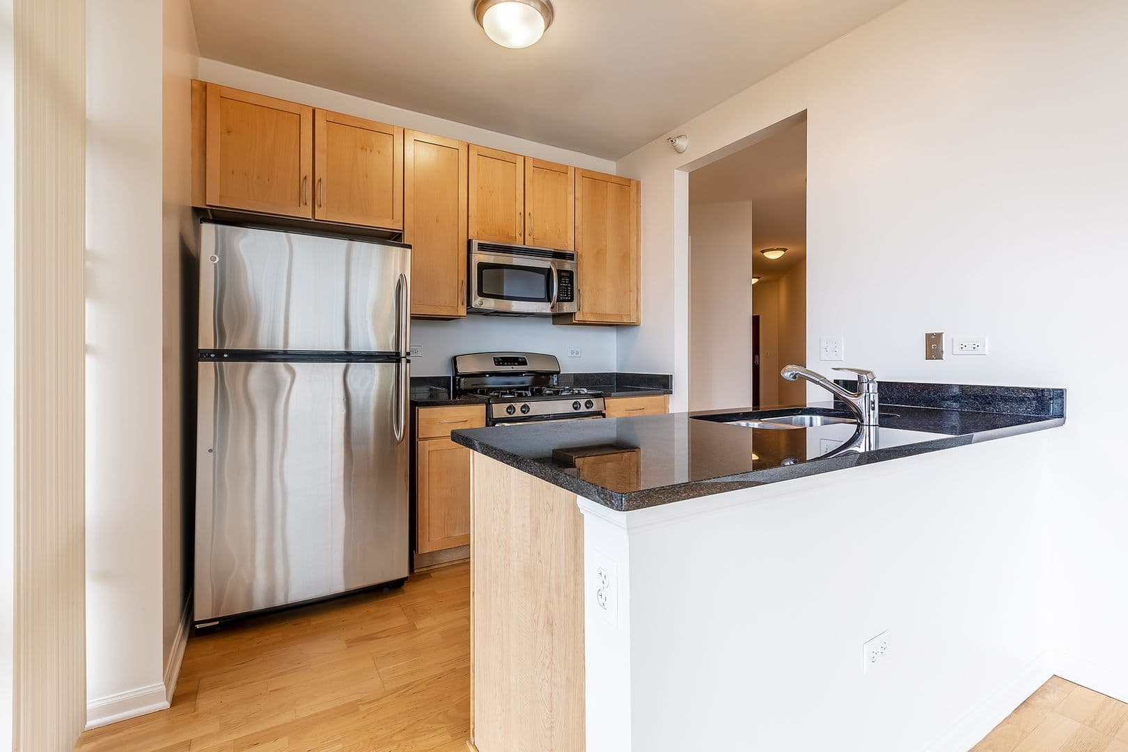 Chicago Apartment: 8 E. 9th St.