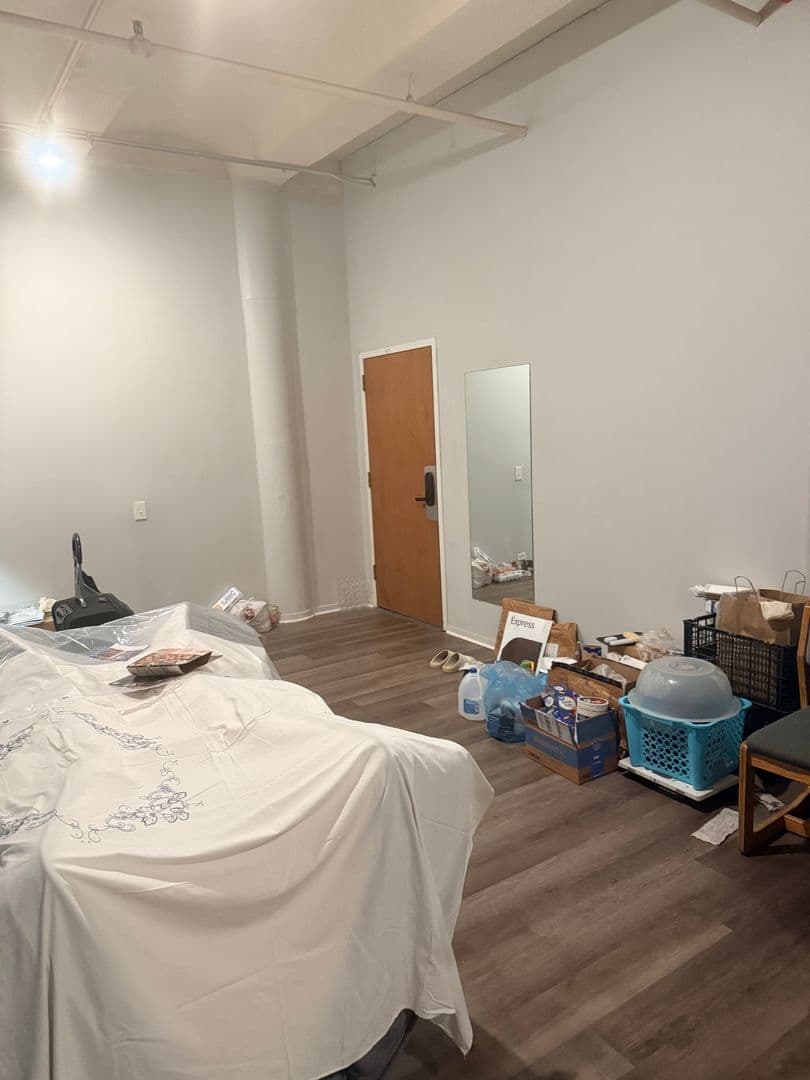 Chicago Apartment: 731 S. Plymouth Ct.