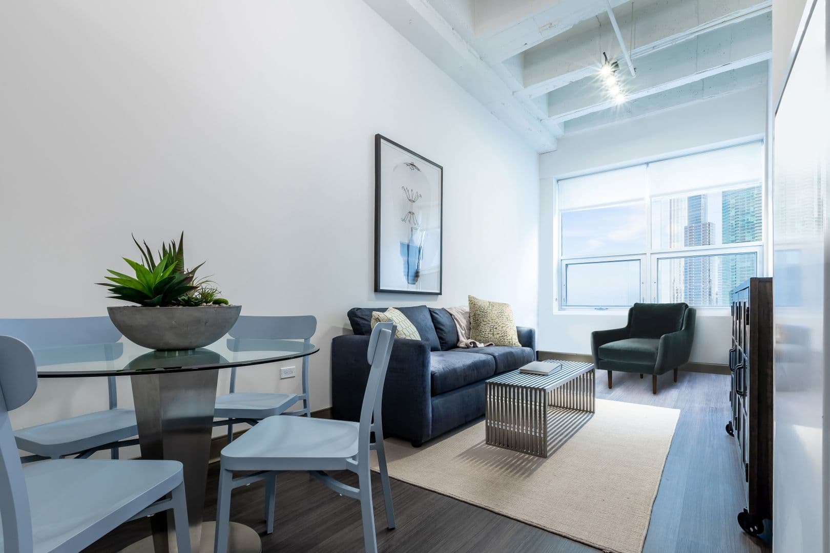 Chicago Apartment: 820 S. Michigan Ave.