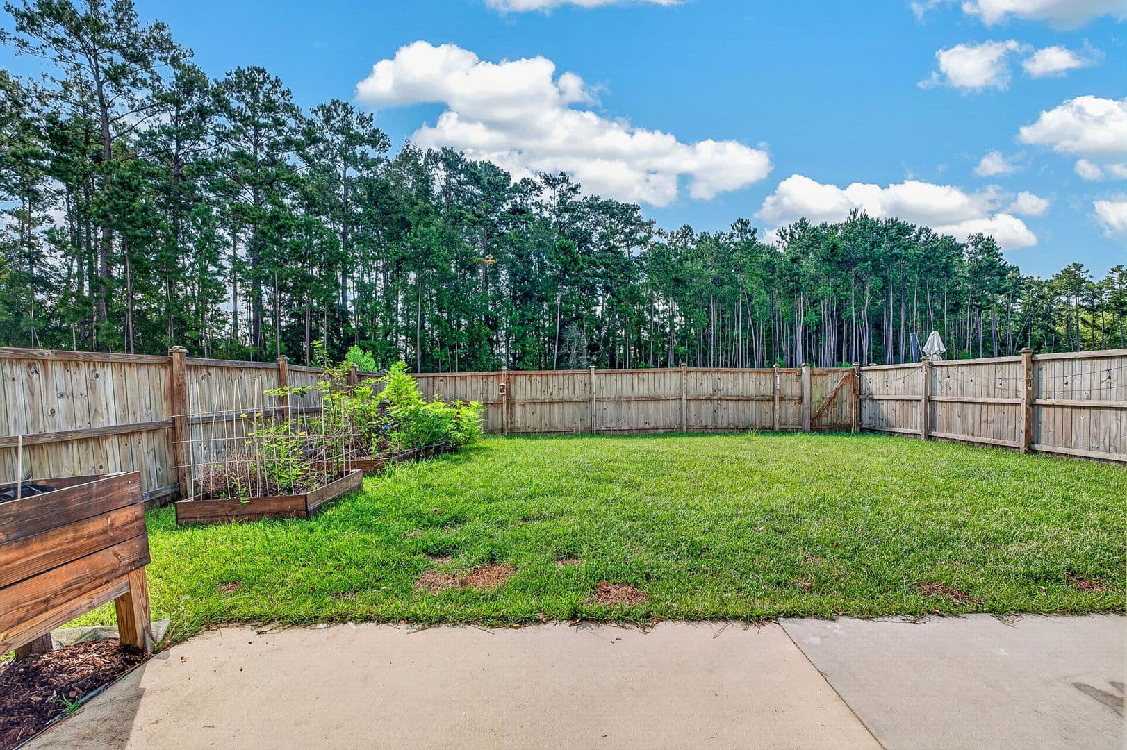 Summerville House: 123 Sweet Cherry Lane