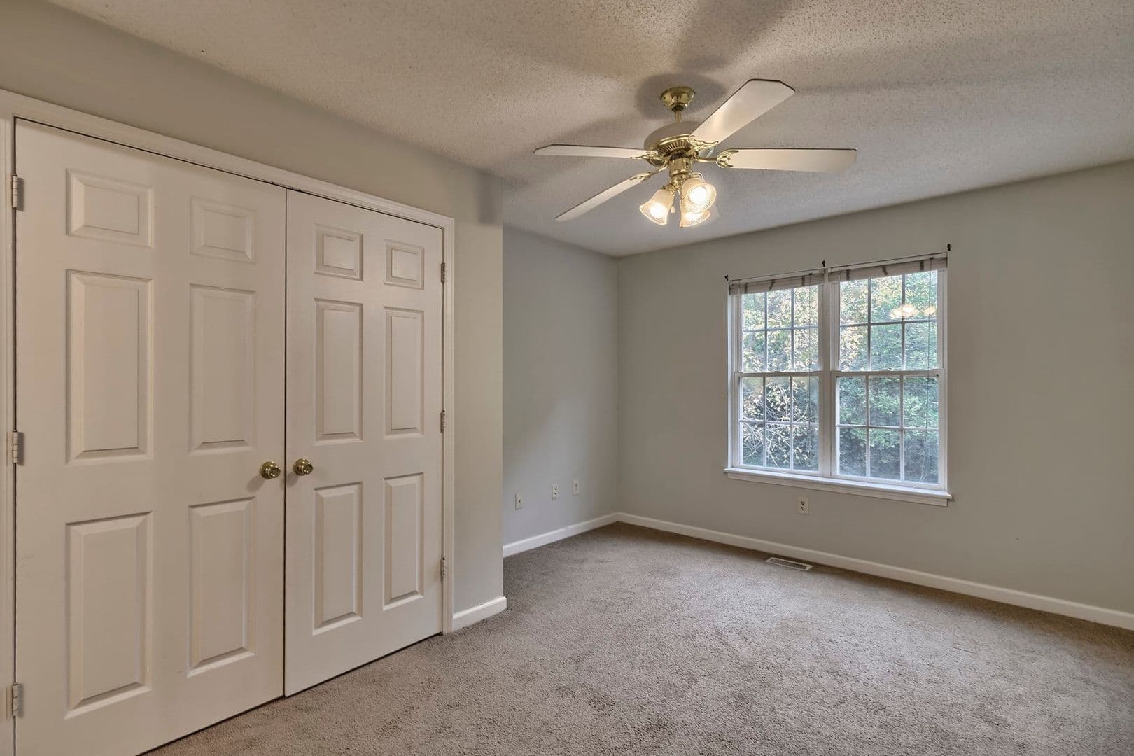 Clemson Apartment: 818 College Ave