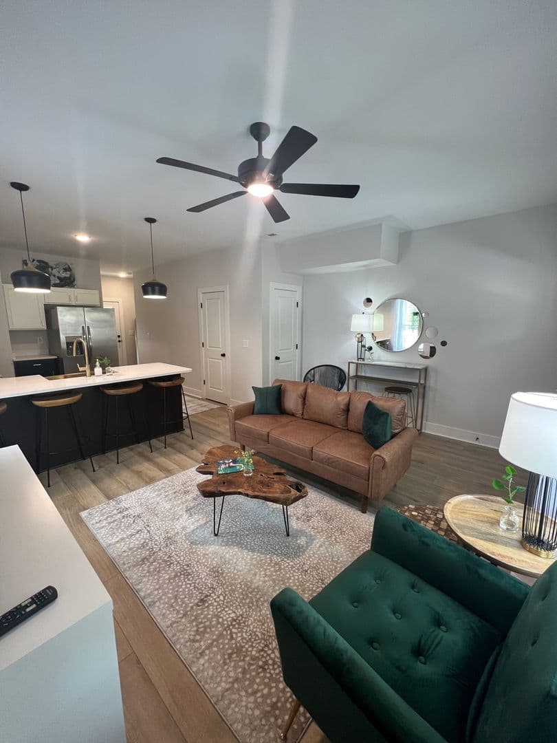 Clemson Apartment: 207 Ligon St
