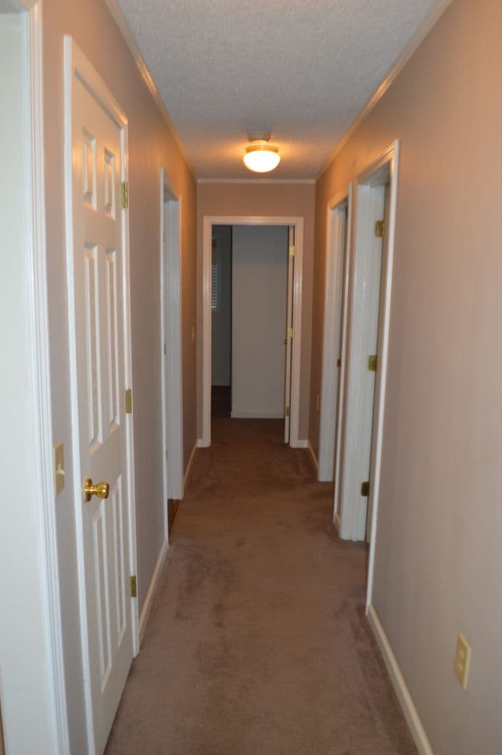 Clemson Apartment: 127 Freedom Dr
