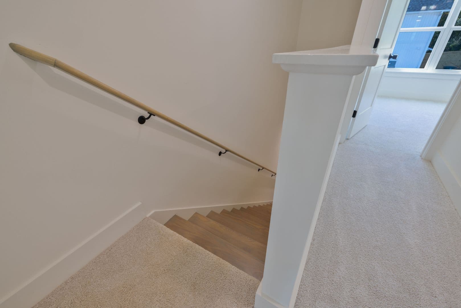 Clemson Apartment: 101 Spencer St