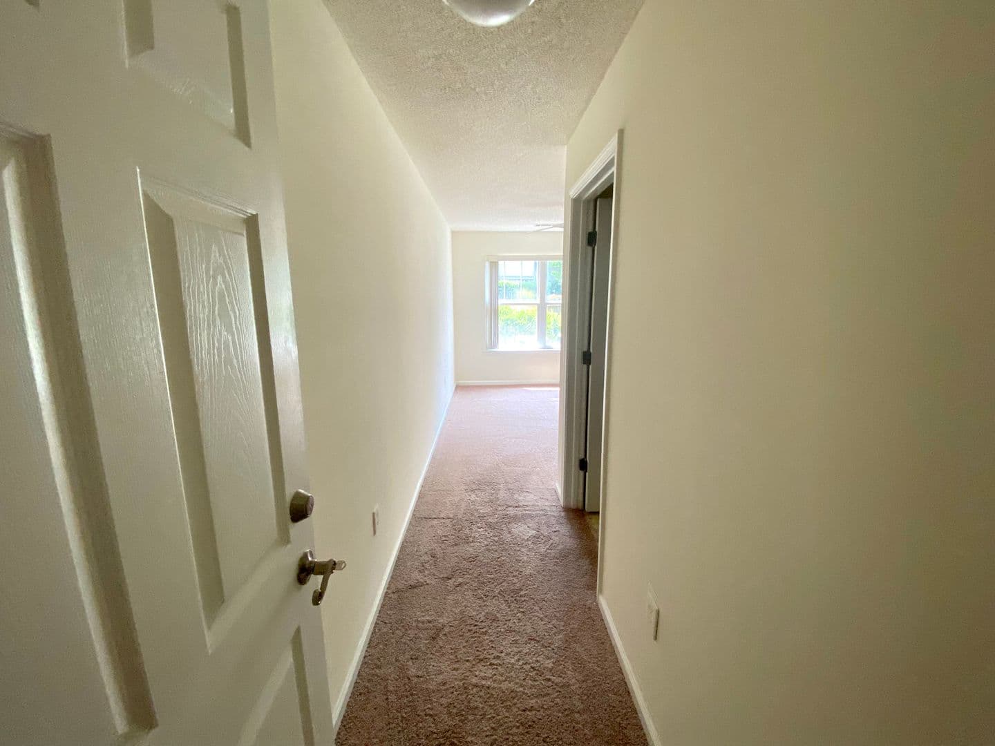 Seneca Apartment: 1301 Harts Ridge Dr