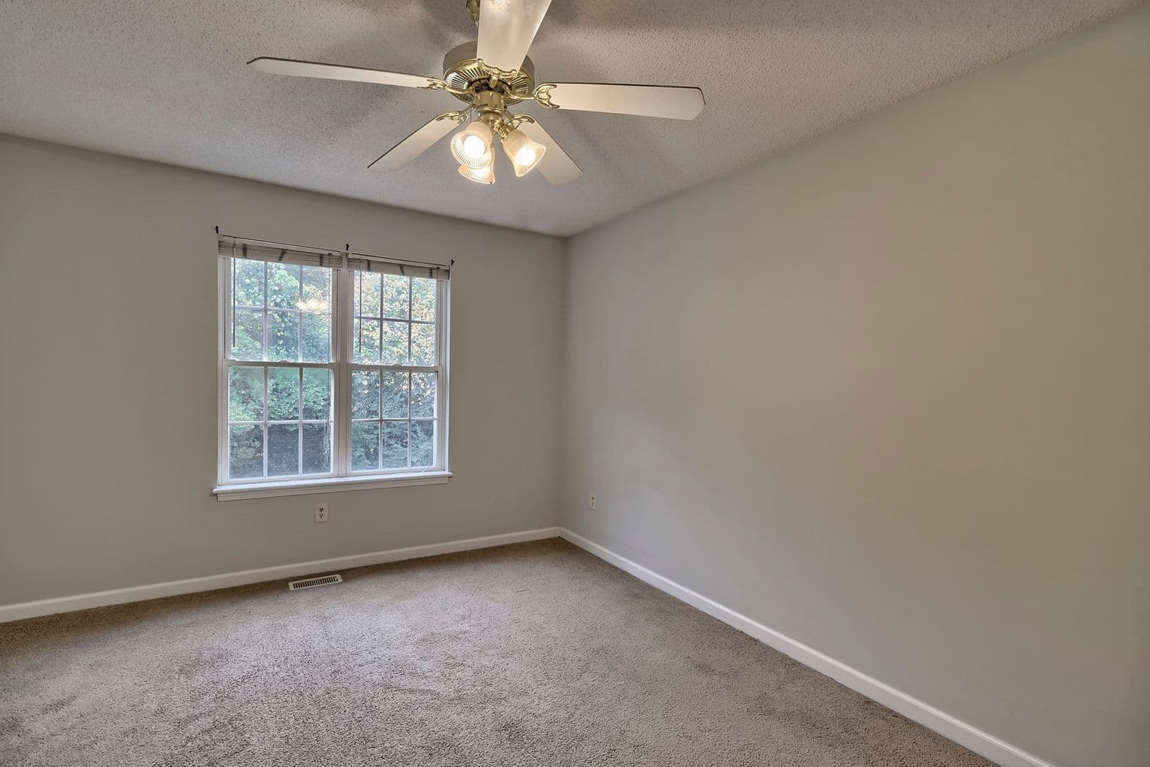Clemson Apartment: 818 College Ave