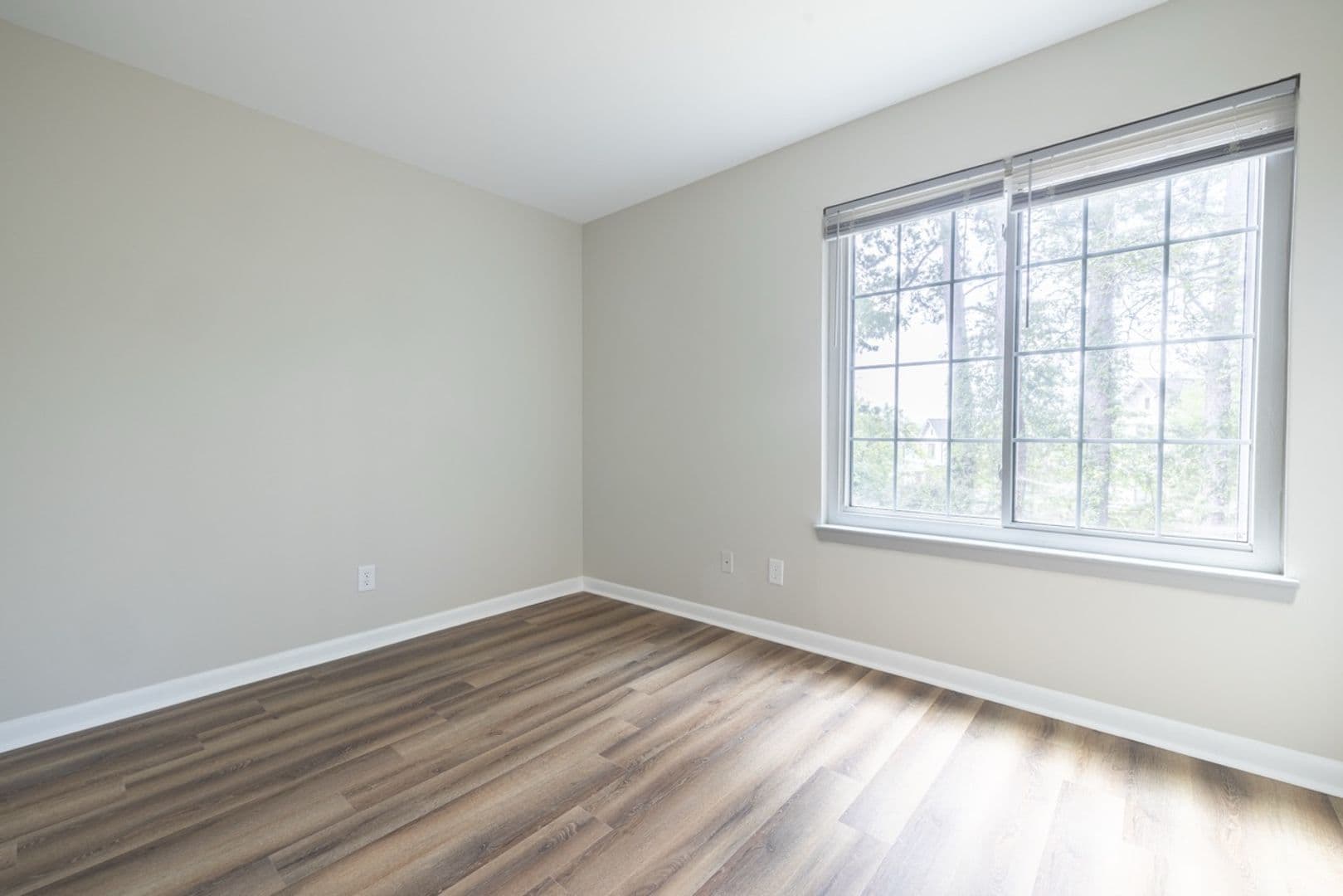 Clemson Apartment: 220 Elm St Apt 623