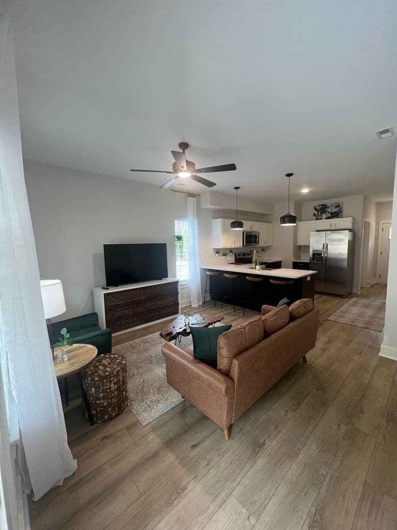 Clemson Apartment: 207 Ligon St
