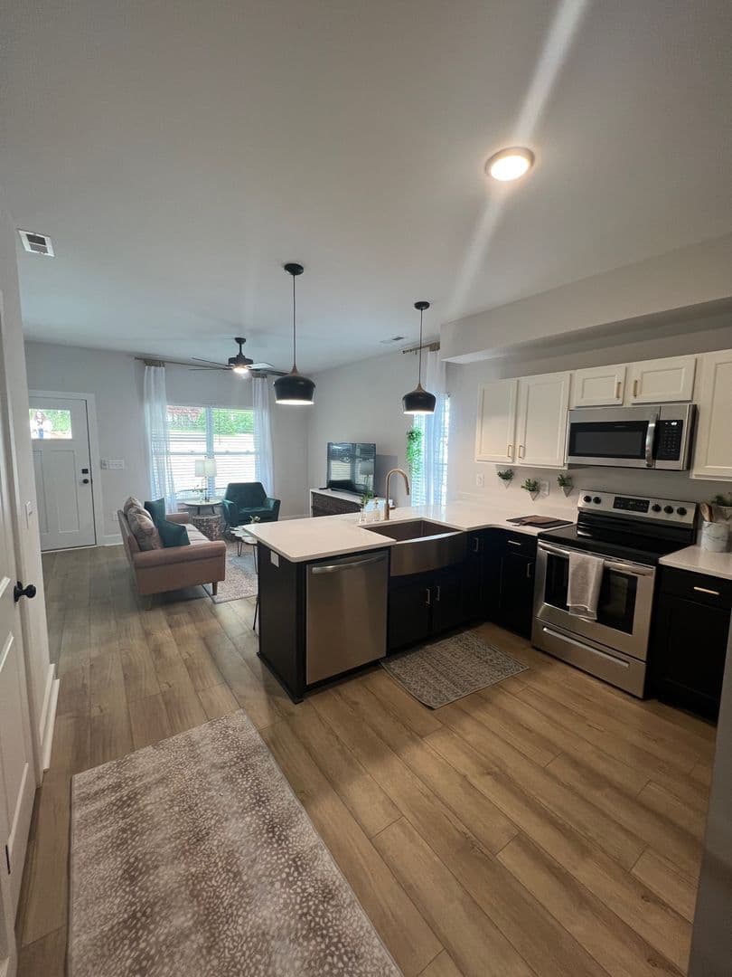 Clemson Apartment: 207 Ligon St