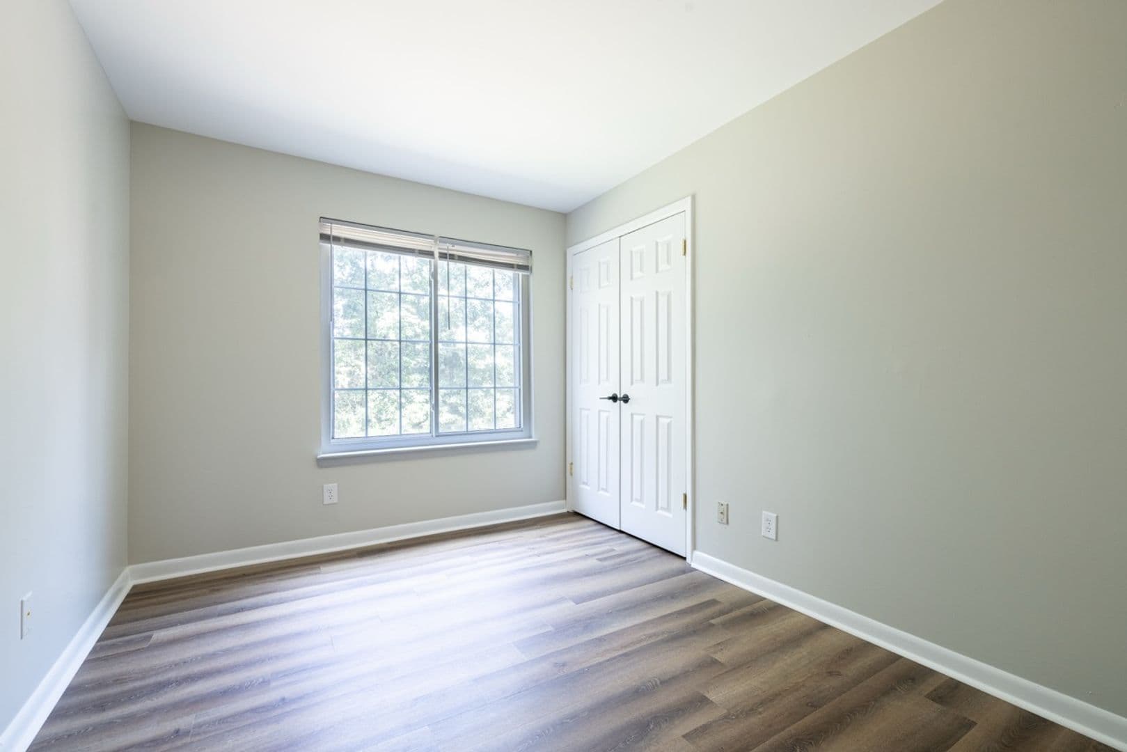 Clemson Apartment: 220 Elm St Apt 623