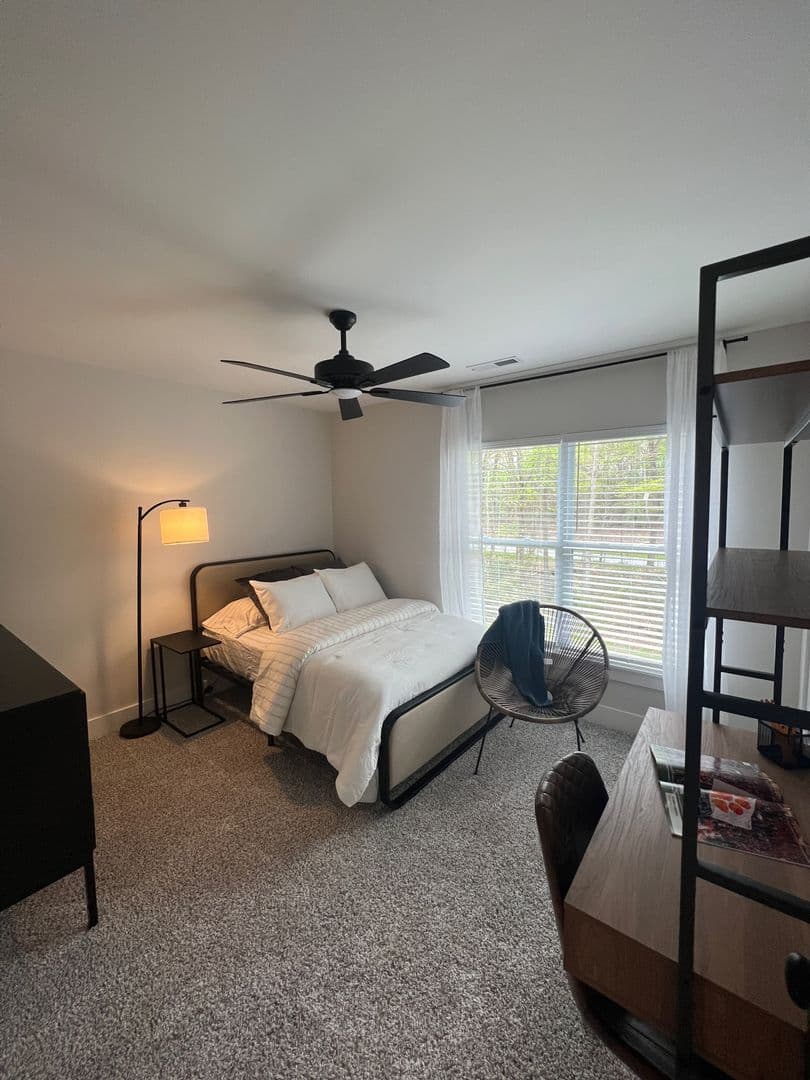 Clemson Apartment: 207 Ligon St