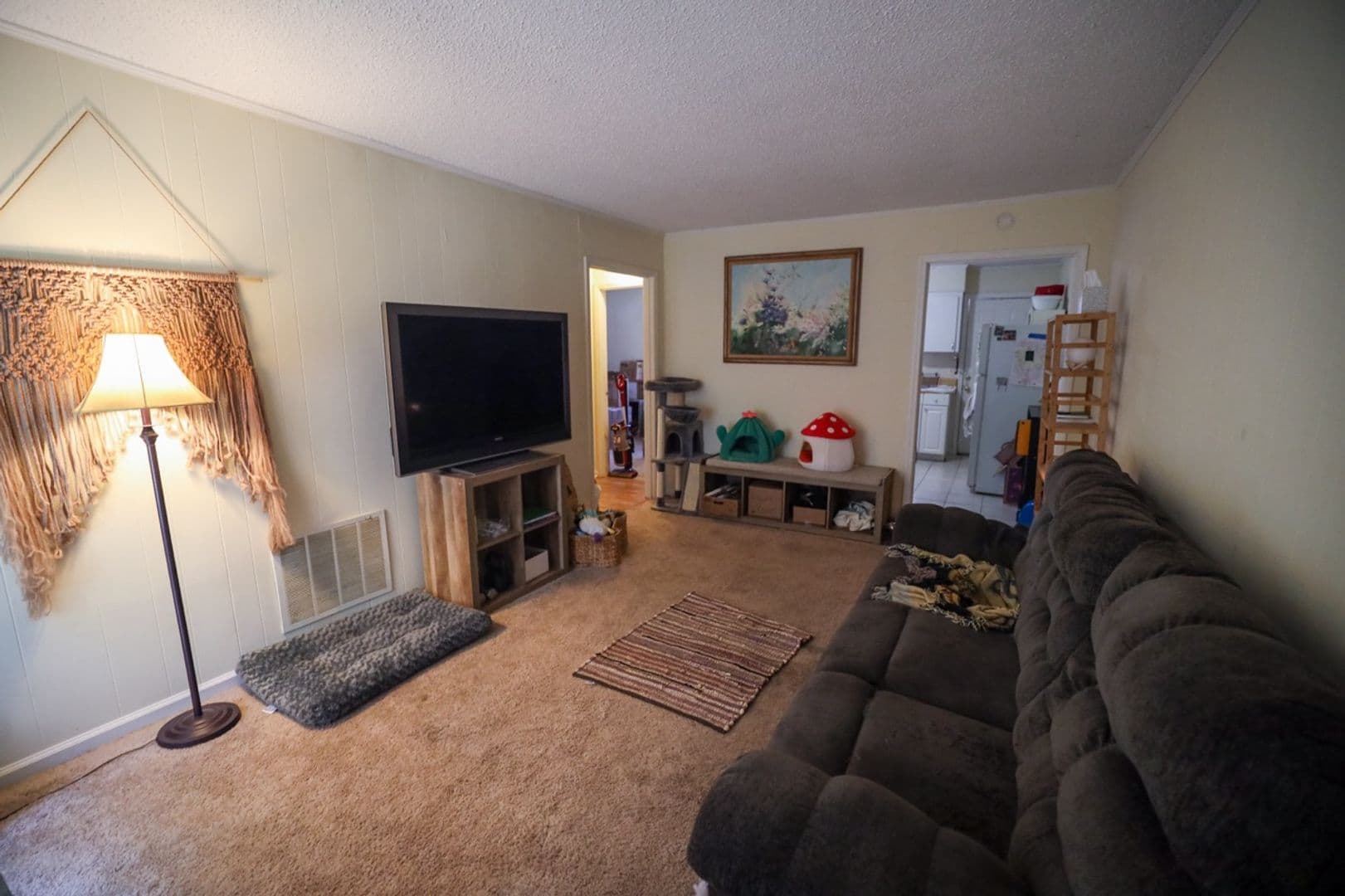 Clemson Apartment: 505 Old Central Rd