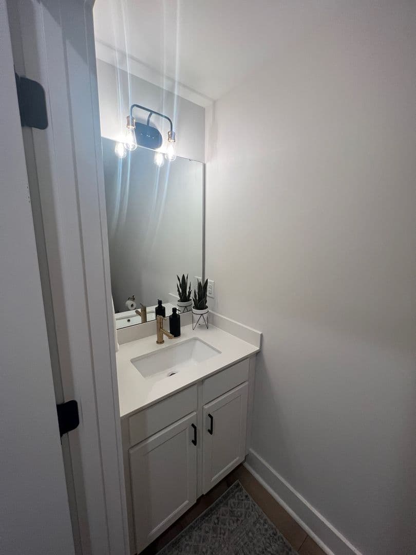 Clemson Apartment: 207 Ligon St
