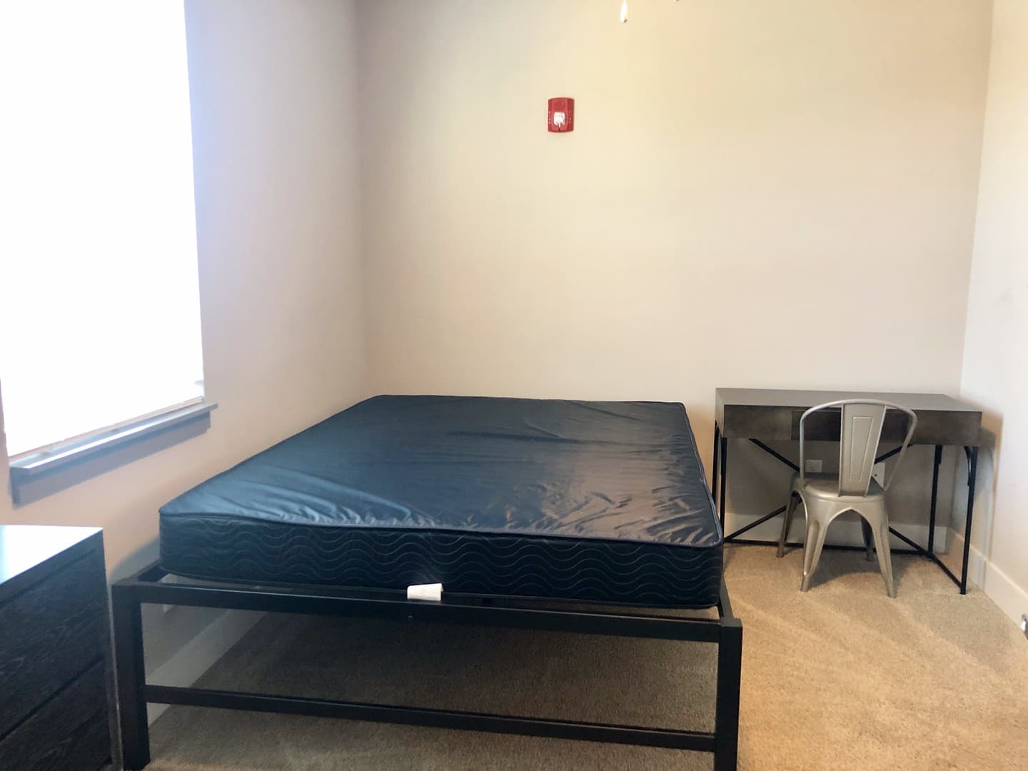 Clemson Apartment: 189 Old Greenville Hwy