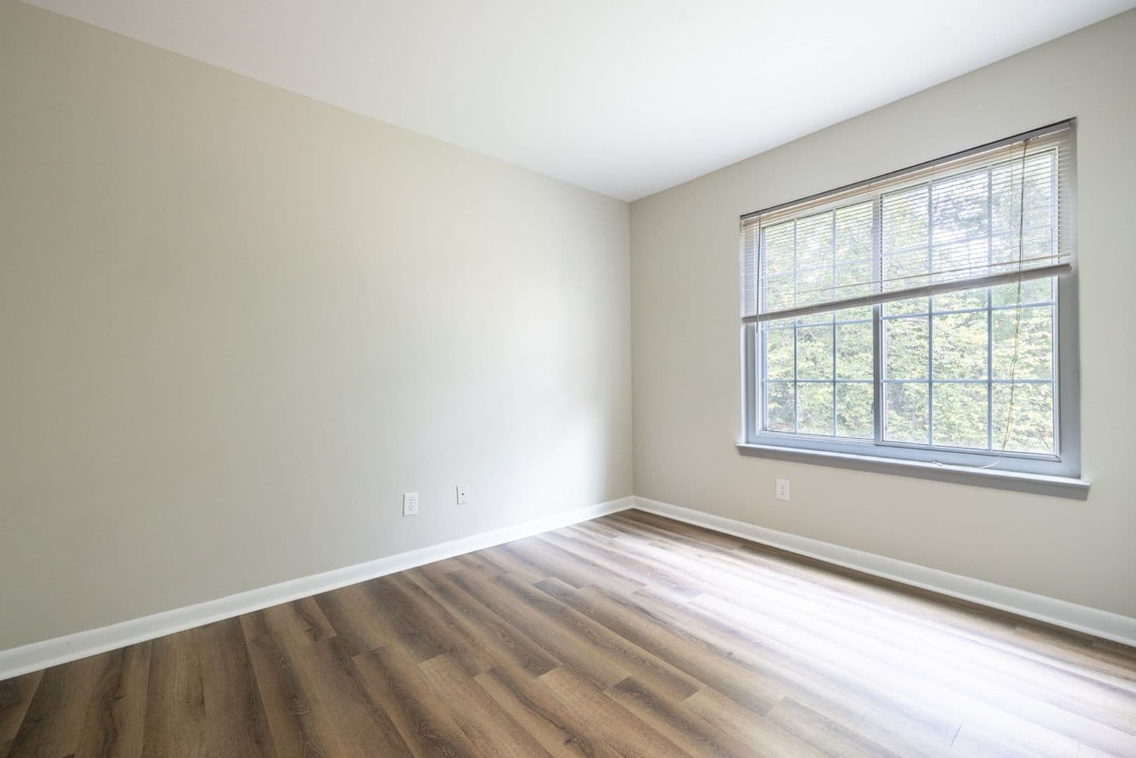Clemson Apartment: 220 Elm St Apt 623