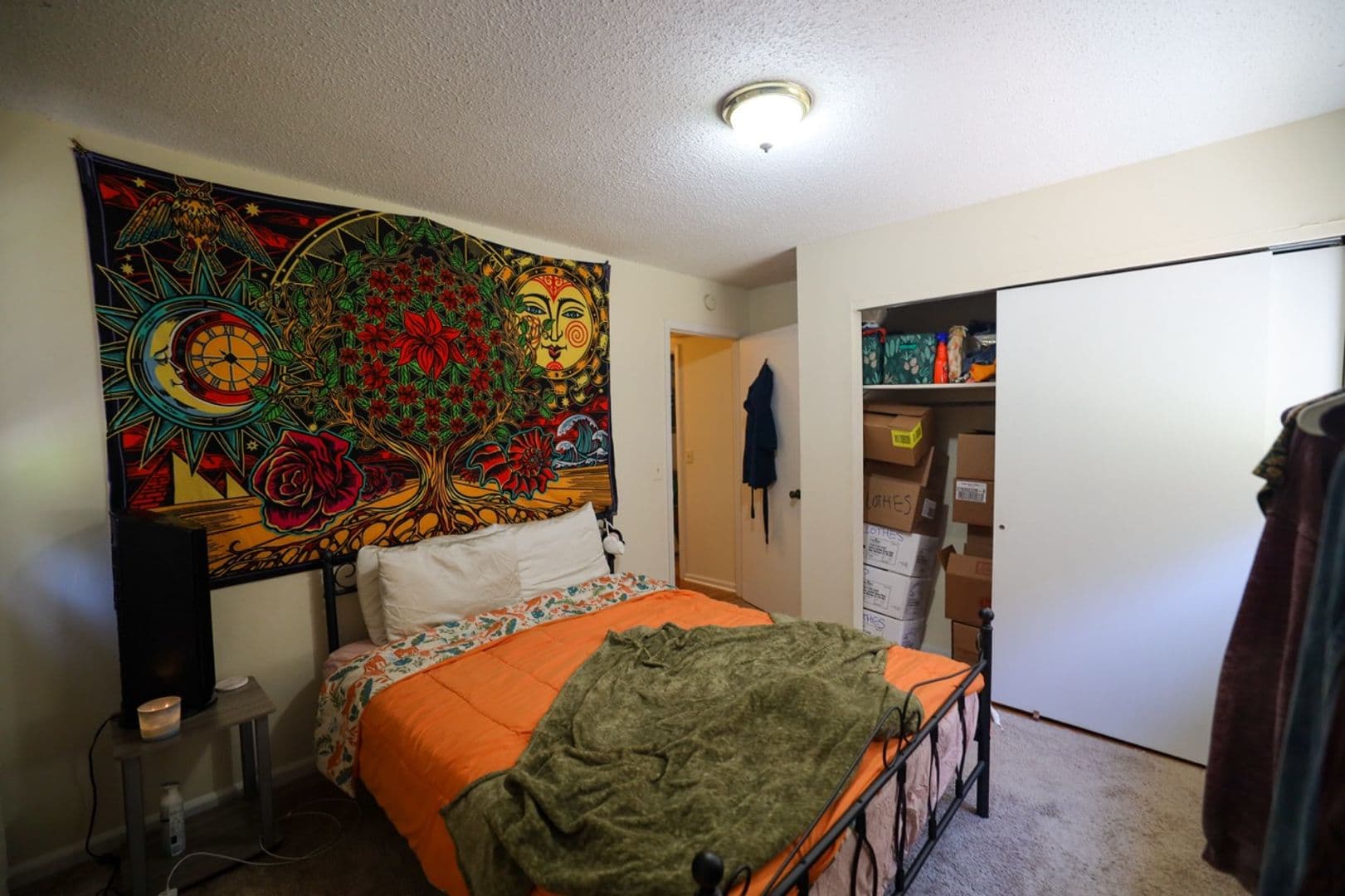 Clemson Apartment: 505 Old Central Rd