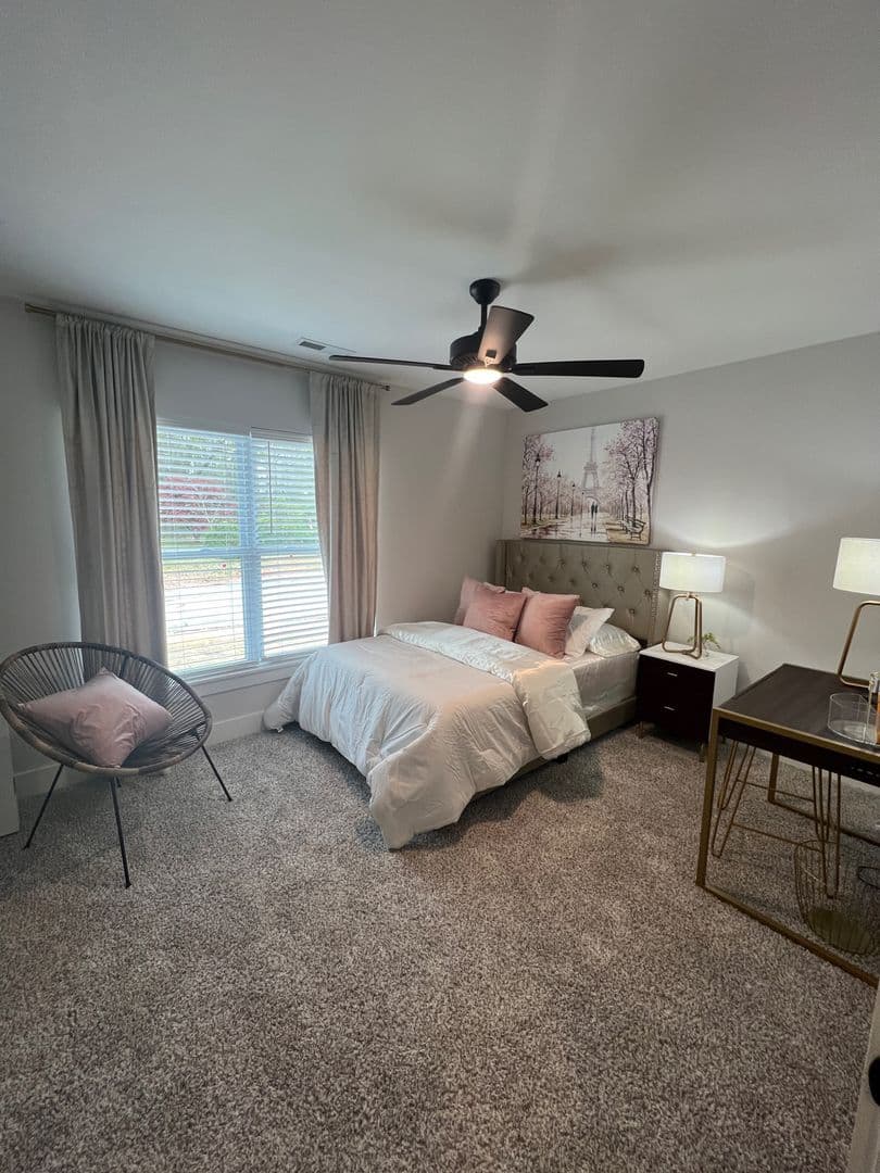Clemson Apartment: 207 Ligon St