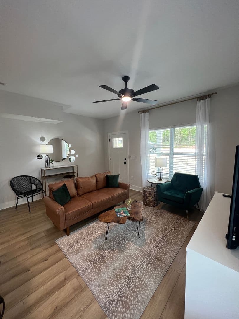 Clemson Apartment: 207 Ligon St