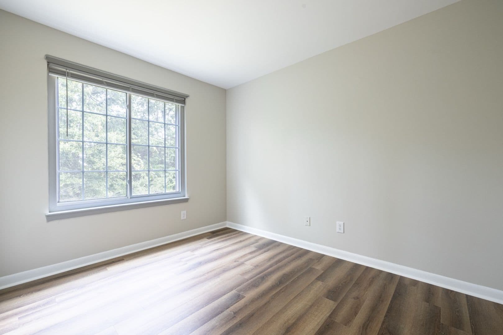 Clemson Apartment: 220 Elm St Apt 623