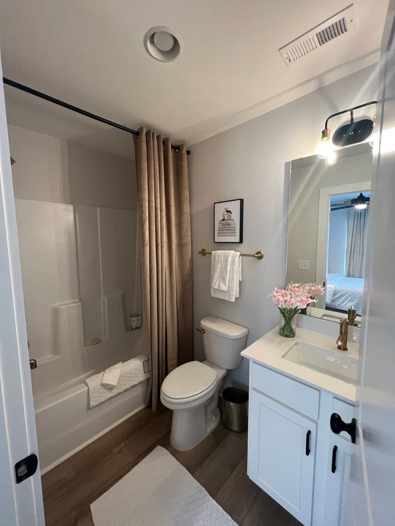 Clemson Apartment: 207 Ligon St