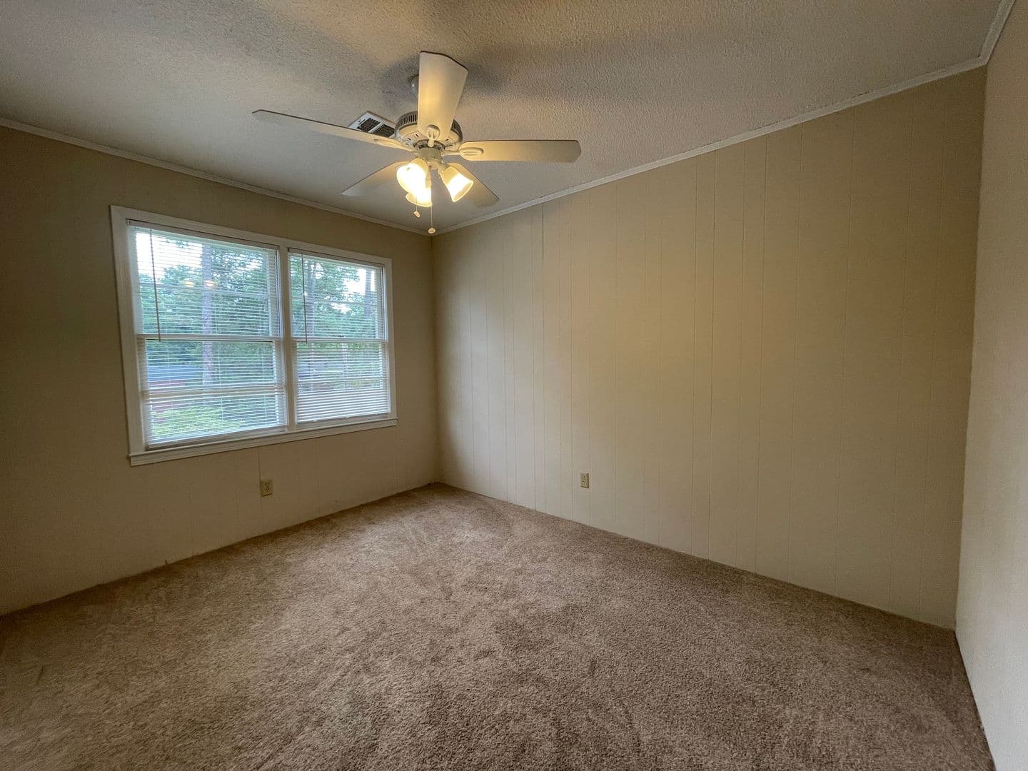 Clemson Apartment: 207 Charleston Ave