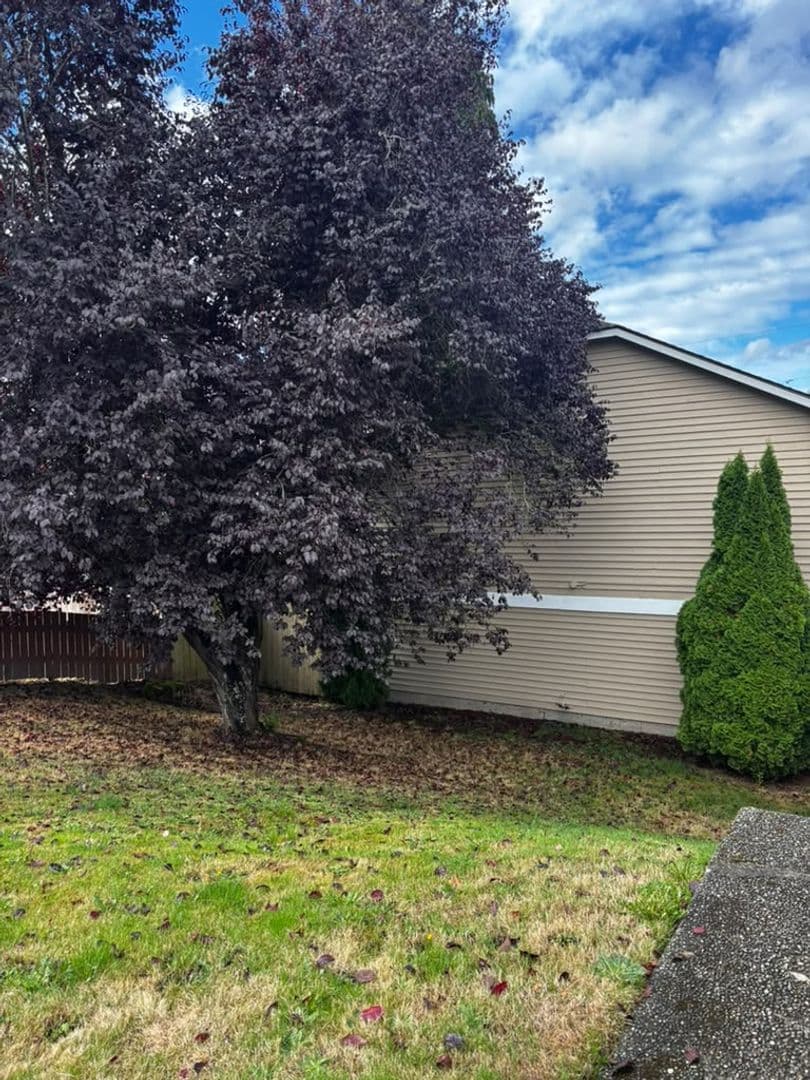 Everett Townhome: 3410 Rockefeller Ave
