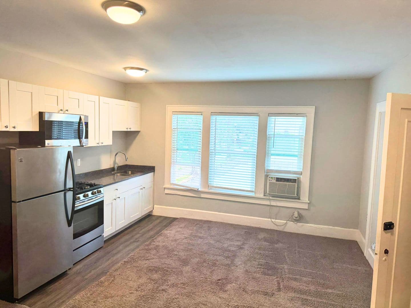St. Petersburg Apartment: 425 3rd Street N