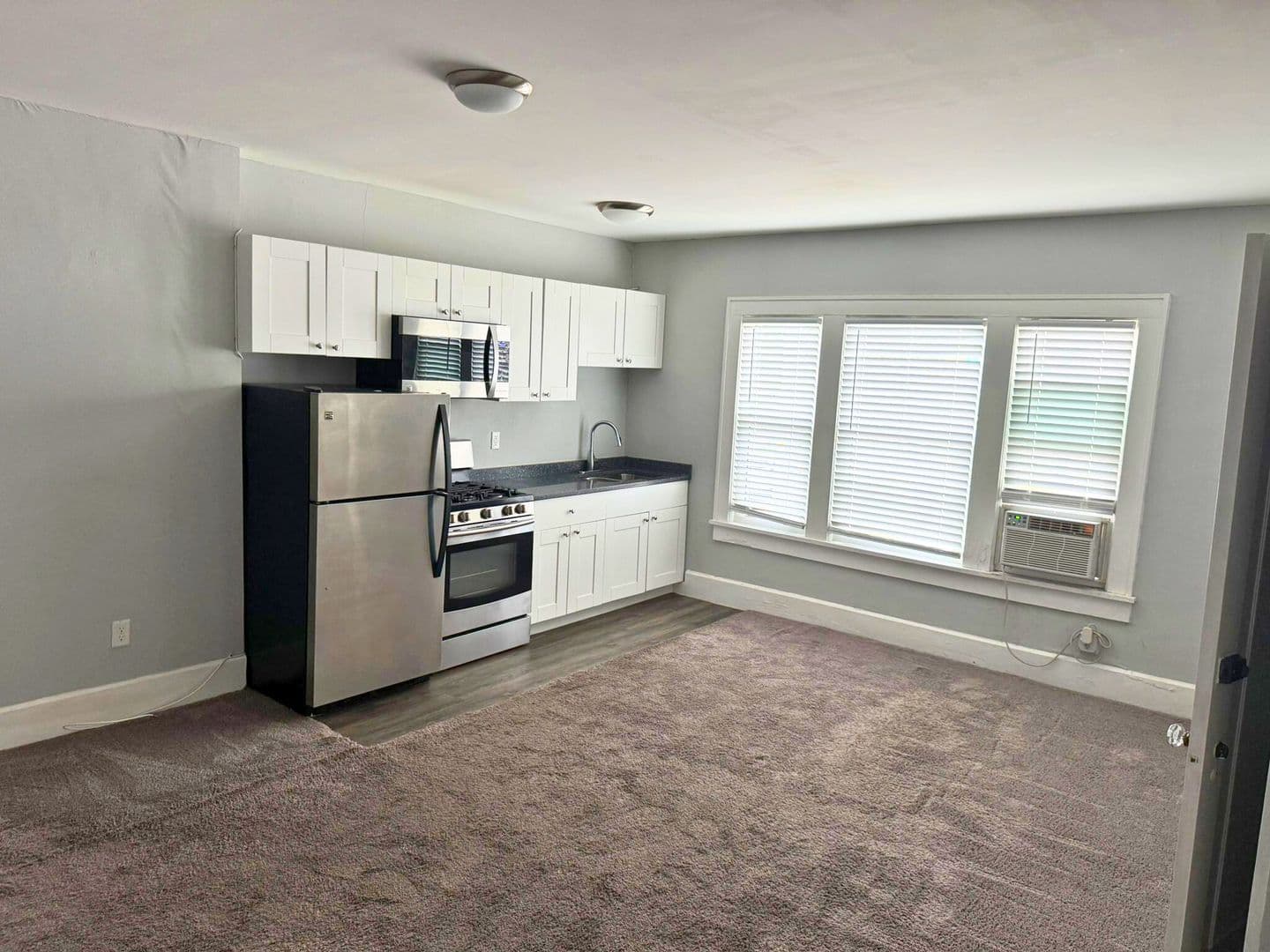 St. Petersburg Apartment: 425 3rd Street N