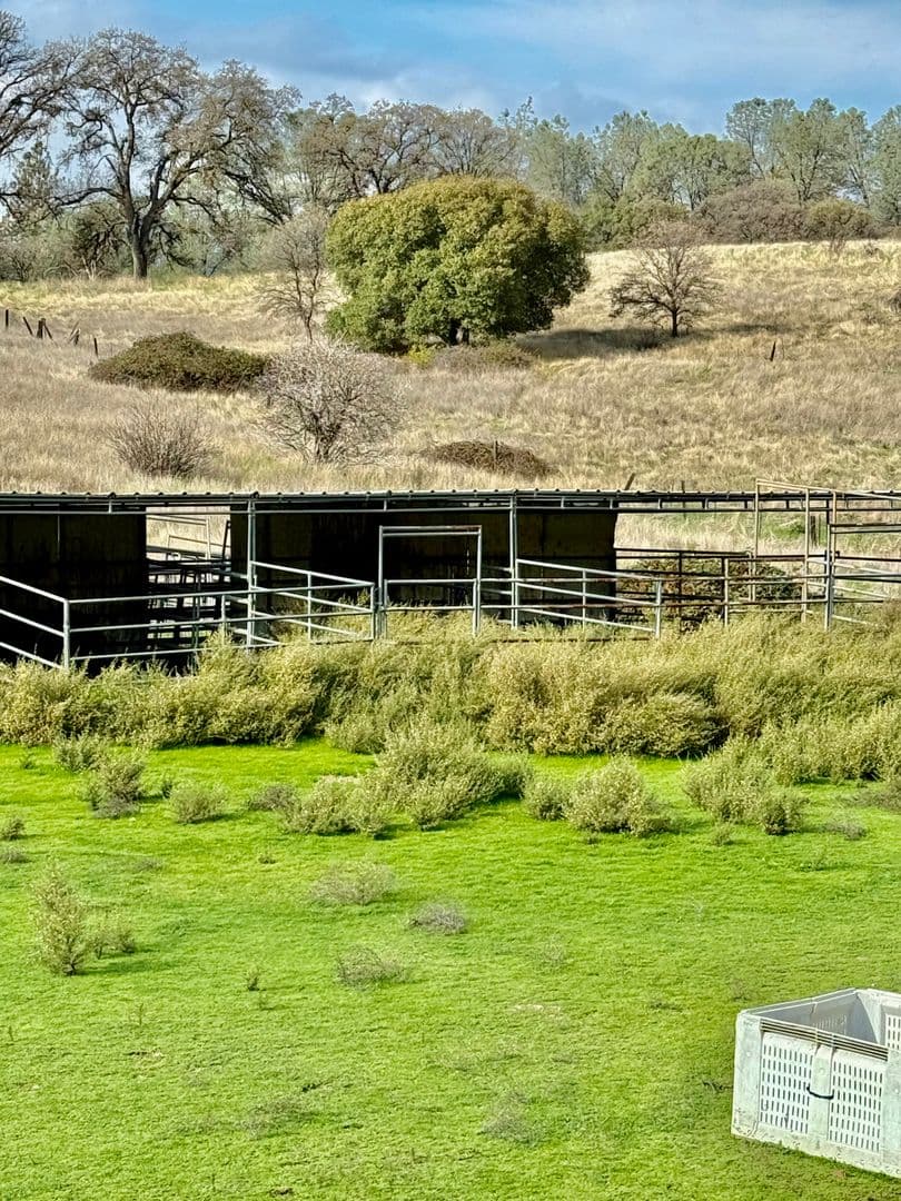 Cool House: 2661 Wawona Way