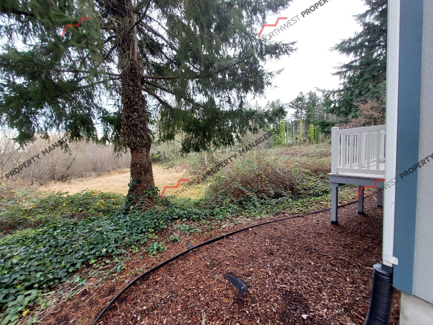 Tumwater Apartment: 604 Grant Lane Southwest A & B