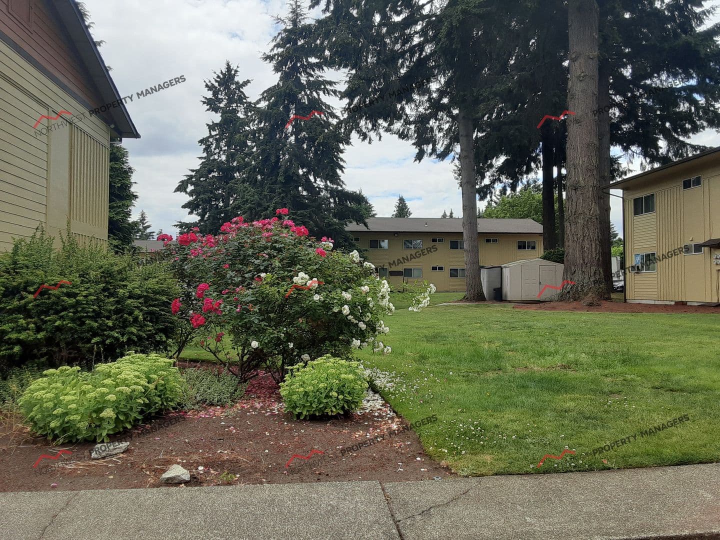 Lacey Apartment: 1615 Judd St. SE