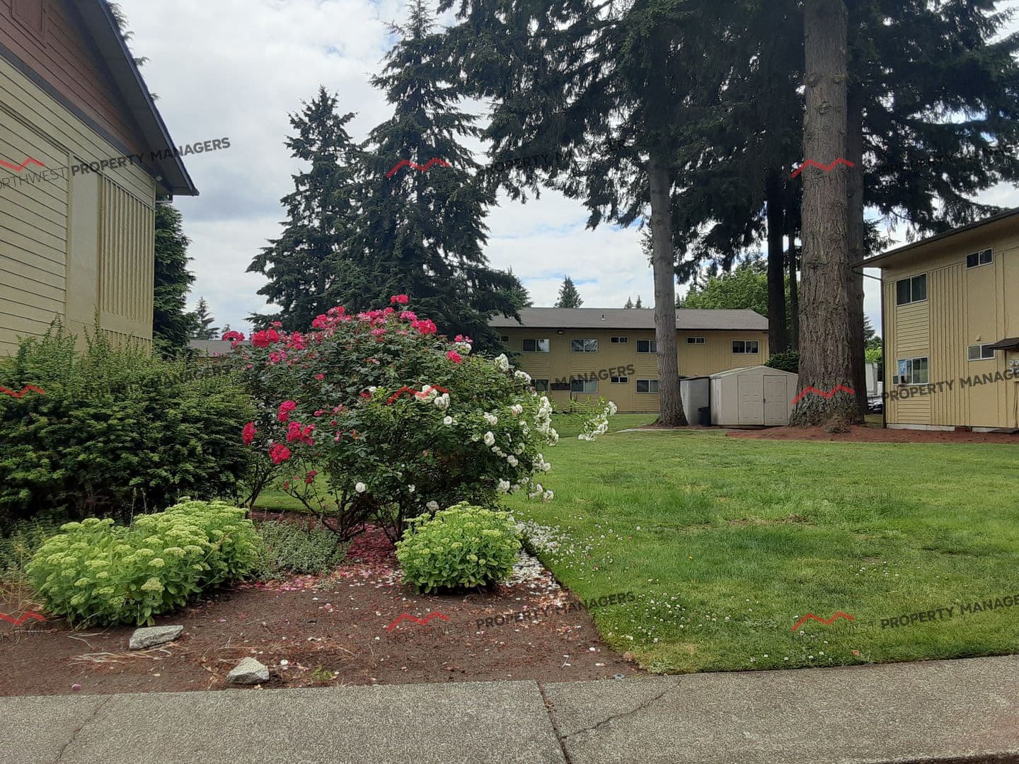 Lacey Apartment: 1615 Judd St. SE