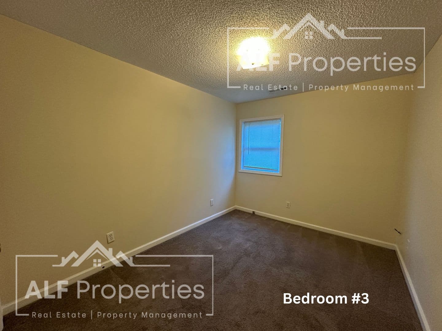 Fayetteville Apartment: 713 North Street Unit D