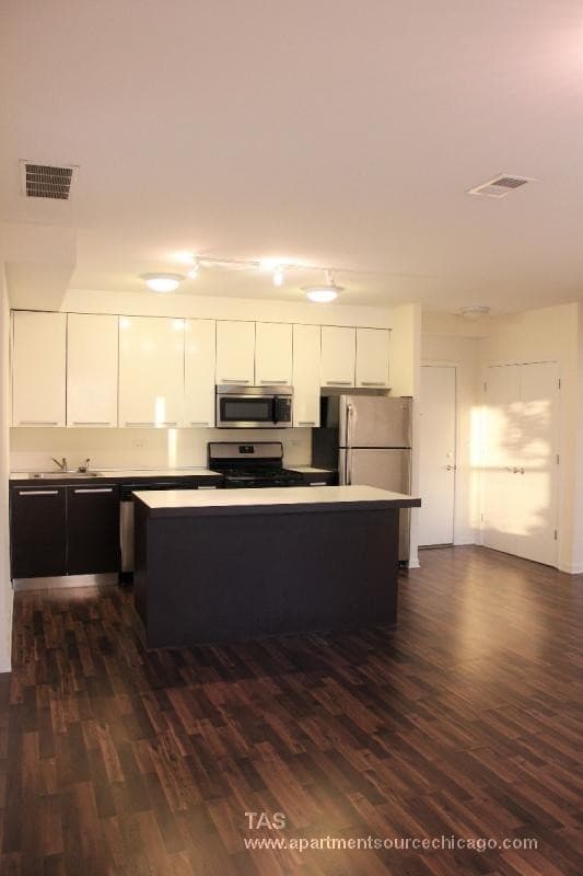 Chicago Apartment: 1544 W Glenlake Ave.