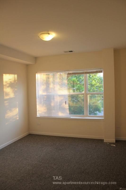 Chicago Apartment: 1544 W Glenlake Ave.