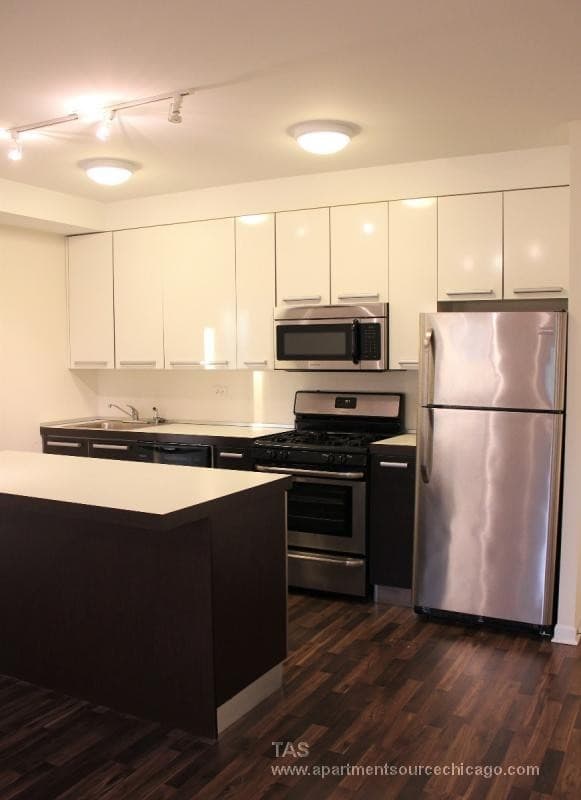 Chicago Apartment: 1544 W Glenlake Ave.