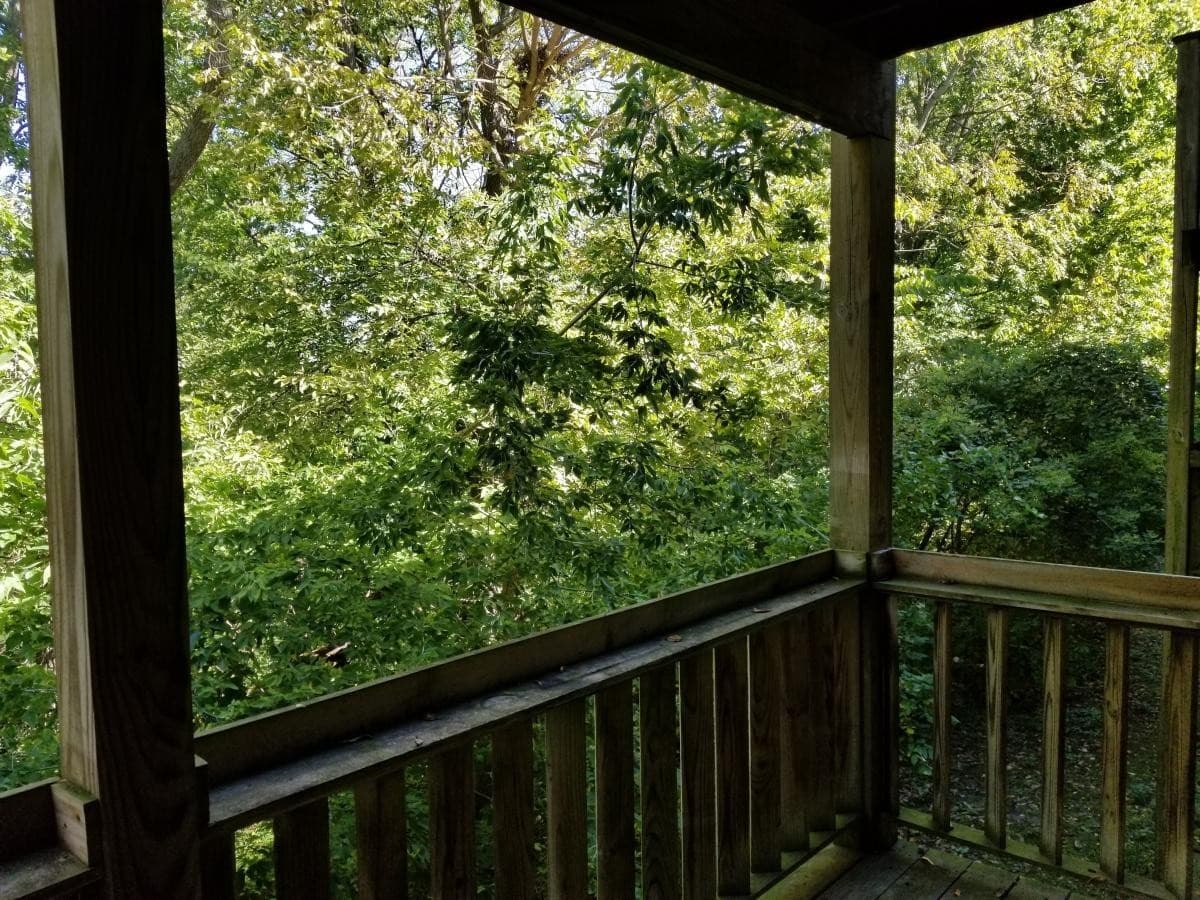 Pleasant Hill Apartment: 595 N. Pleasant Hill Blvd