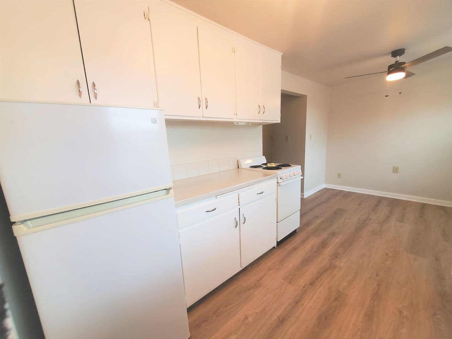 Vancouver Apartment: 1905-1915 Daniels St