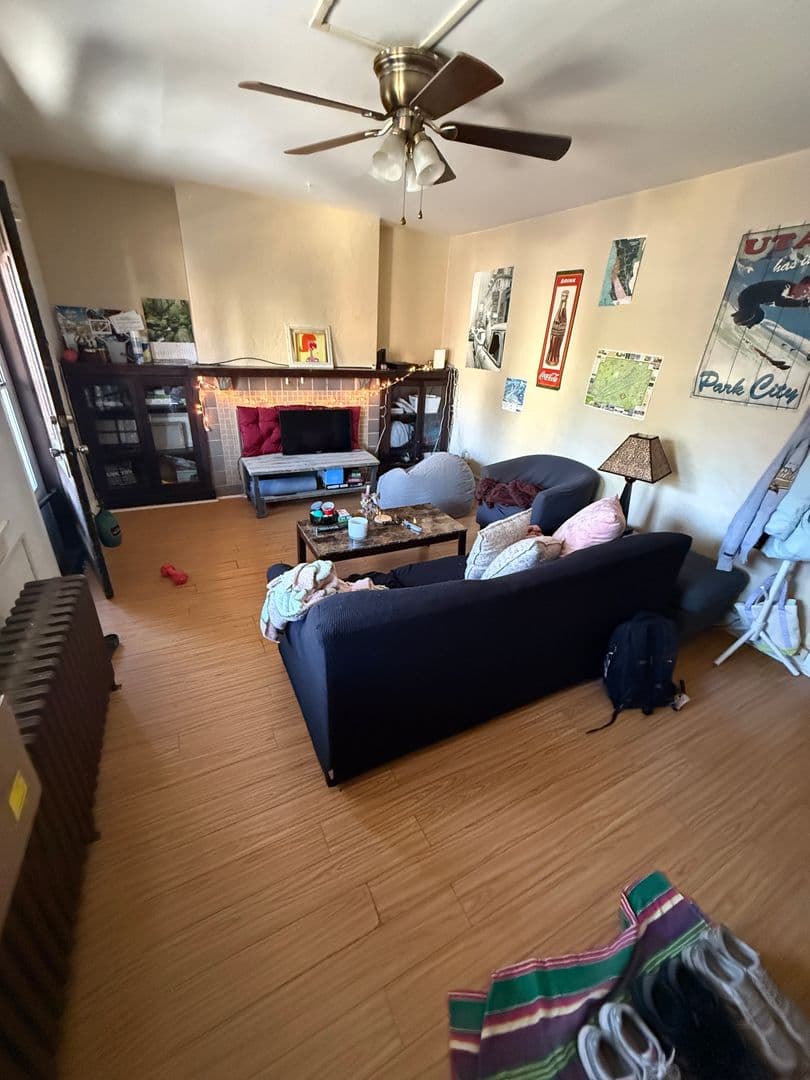 Pittsburgh Apartment: 316 Semple St