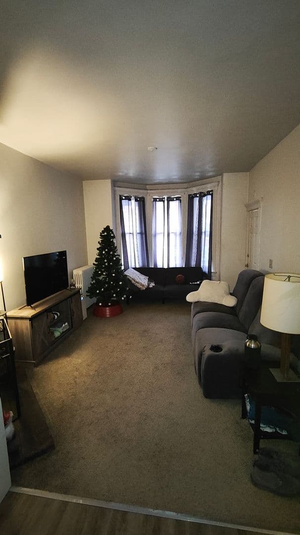 Pittsburgh Apartment: 3317 Juliet St