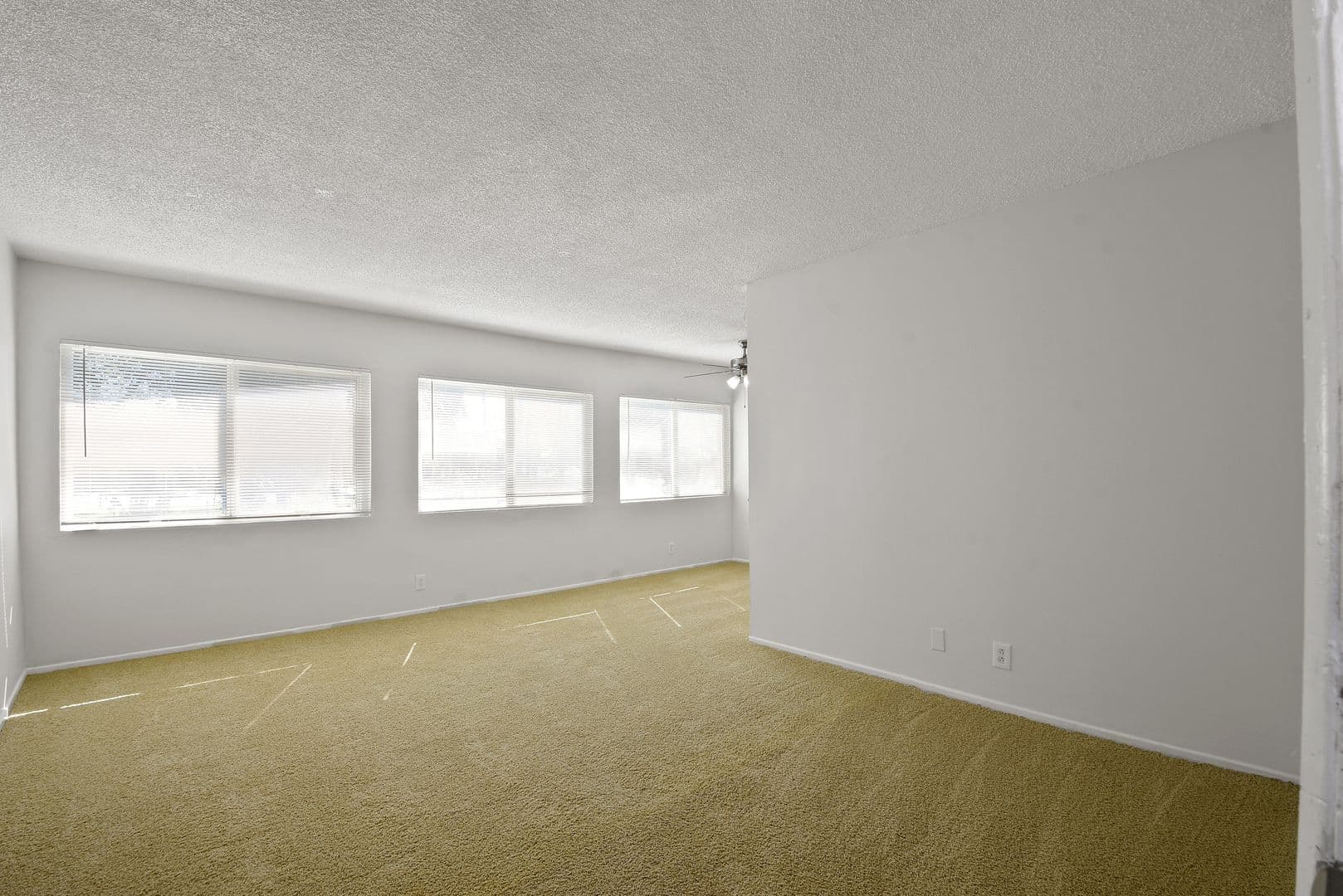 Santa Fe Springs Apartment: 10955 Pioneer Blvd